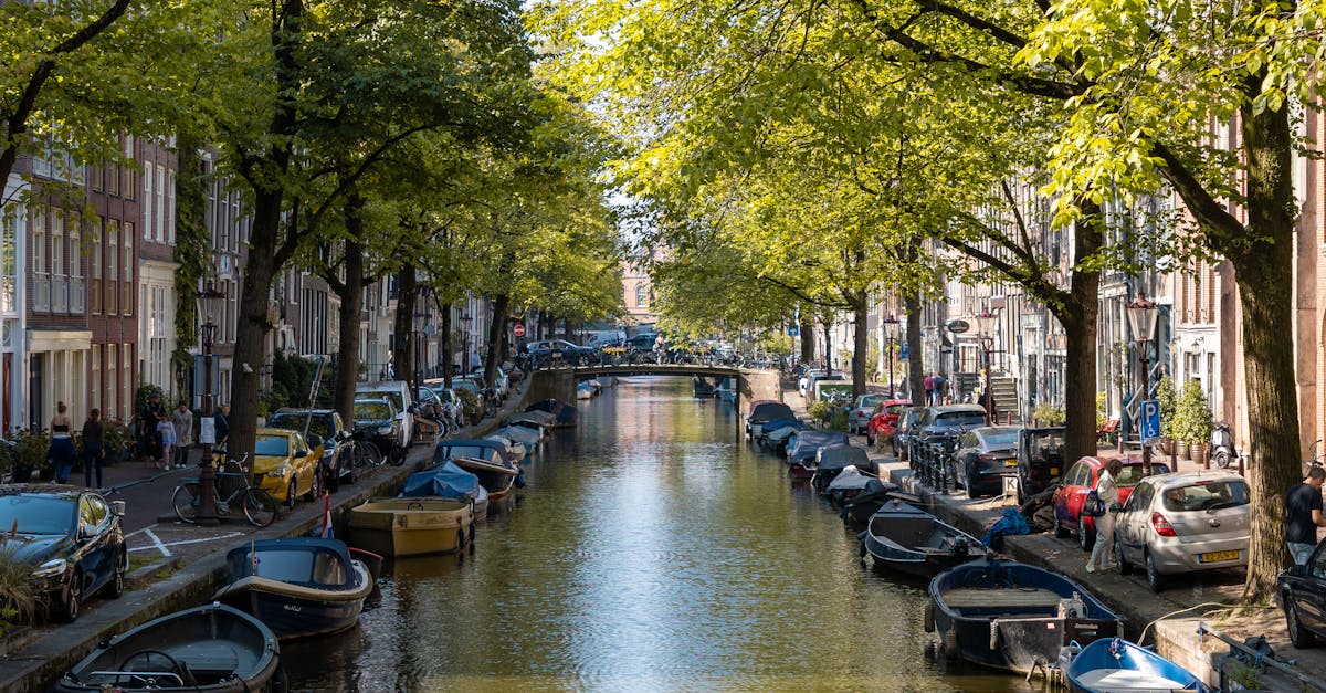 Beautiful view of Amsterdam canal lined with boats, lush trees, and historic architecture.