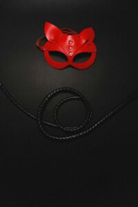 A red leather mask paired with a black whip, evoking themes of mystery and sensuality.