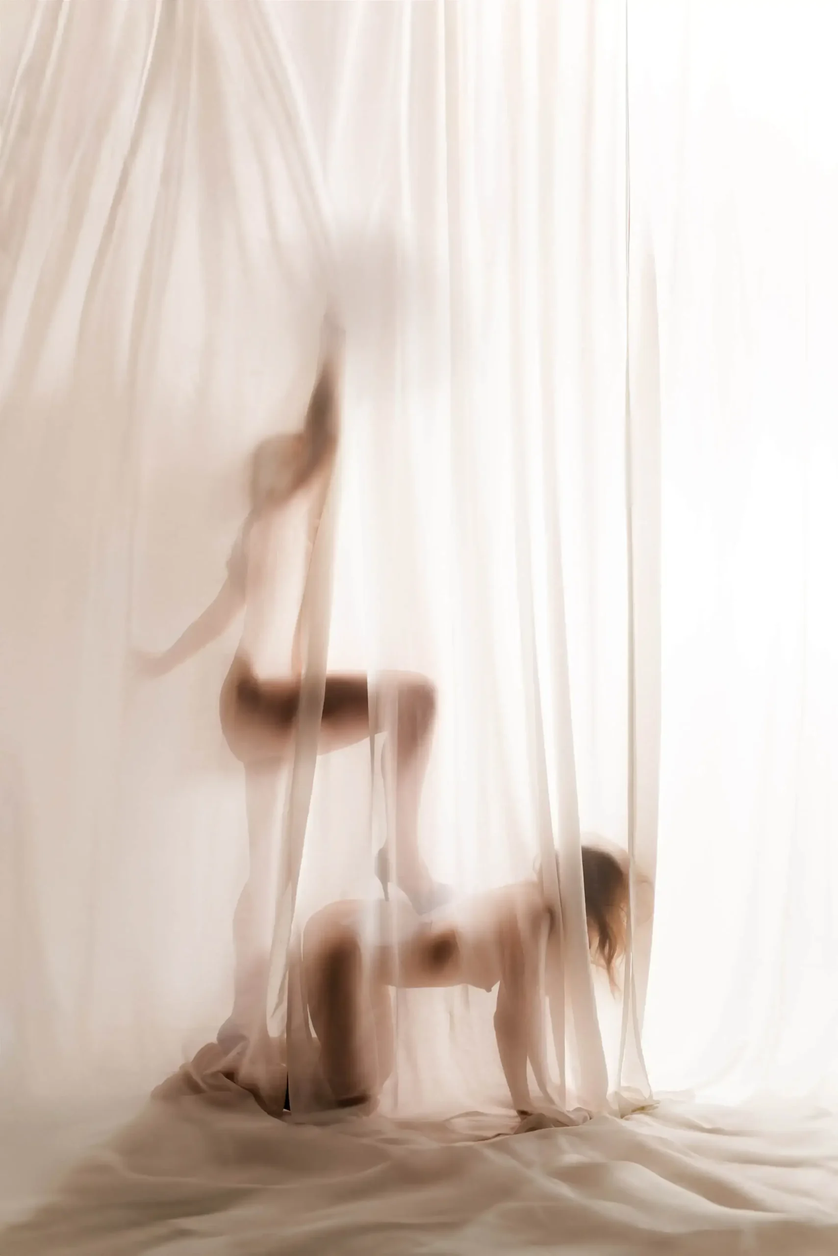 The Trio I Two playful companions